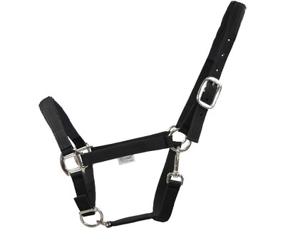 EQUEST Halfter Dual Plus