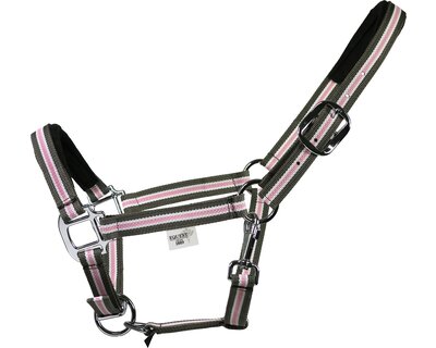 EQUEST Halfter Dual Plus
