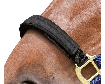EQUEST Ersatzbezug für Equi-Stretch Halfter