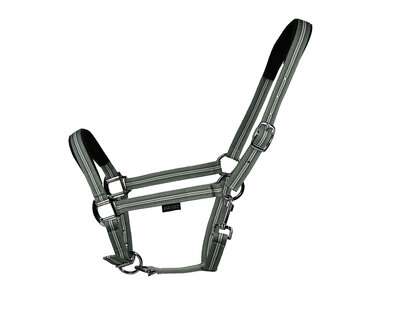 EQUEST Halfter Dual Plus