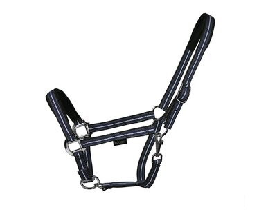 EQUEST Halfter Dual Plus
