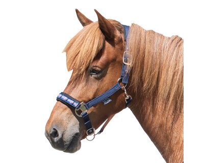 Horse-friends Island-Halfter Keflavik