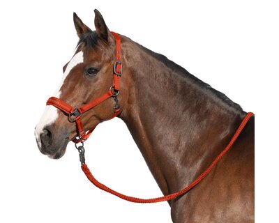 Cheval de Luxe Halfter Lyon