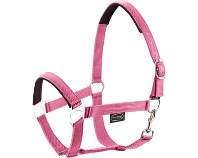 Horse-friends Webhalfter Pin Buckle