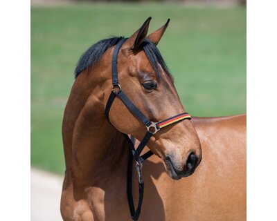 Horse-friends Halfter Deutschland WM 2026