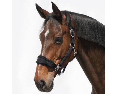 Cheval de Luxe Halfter Bayonne