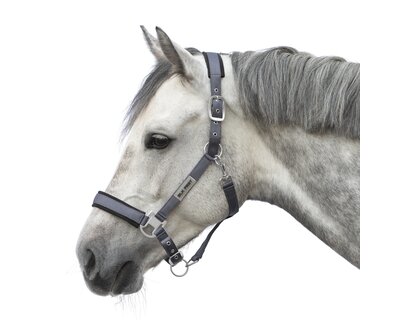 black forest Halfter