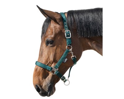 Horse-friends Halfter Basic
