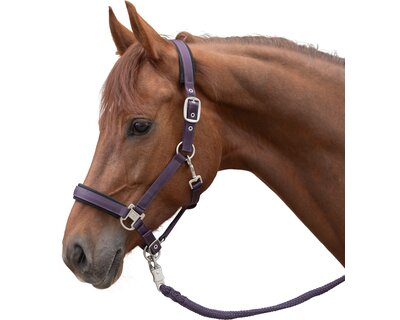 Cheval de Luxe Halfter