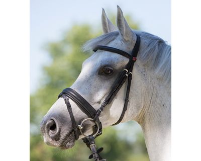 kieffer Trensenzaum Kieffer Ultrasoft® Economy