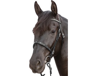 Loesdau Trensenzaum Saumur