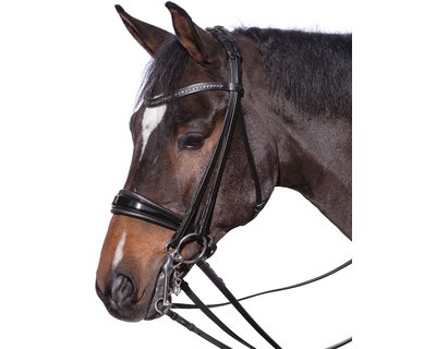 Loesdau Kandarenzaum Genf