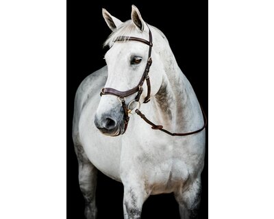 HORSEWARE Micklem 2 Multi Bridle