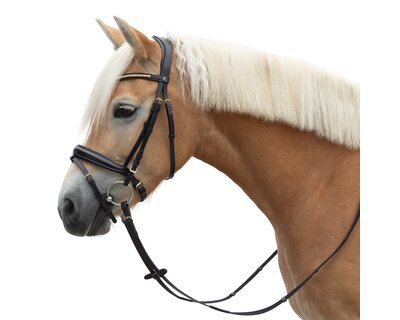 MONTIVUM Trensenzaum Oslo