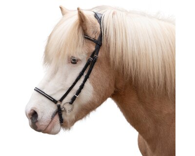 MONTIVUM Islandtrensenzaum Akranes