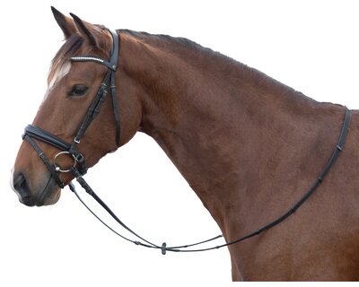 MONTIVUM Trensenzaum Nizza