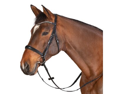 MONTIVUM Trensenzaum Bradford