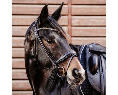 DÖBERT Trensenzaum Berlin