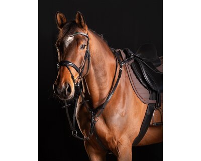 Cheval de Luxe Vorderzeug Dijon