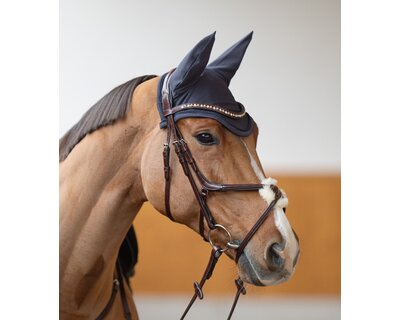 DÖBERT Mexikanisches Reithalfter