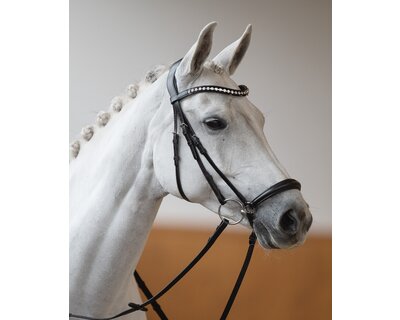 DÖBERT Hannoversches Reithalfter