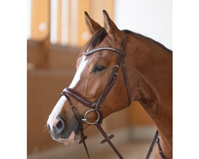 DÖBERT Anatomisches Reithalfter