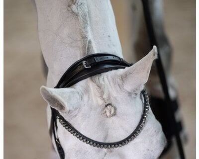 DÖBERT Trensenzaum Bonn Premium