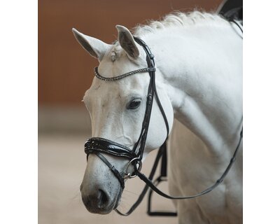 DÖBERT Trensenzaum Bonn Premium