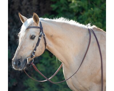 Passion 4Q Westerntrense