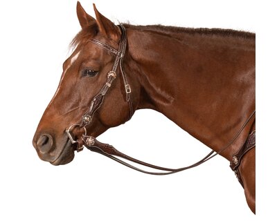 Passion 4Q Westerntrense