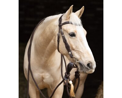 Passion 4Q Westerntrense