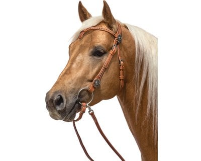 L-pro West Westerntrense Black Rose