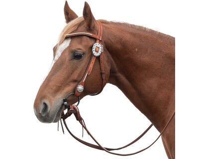 Passion 4Q Westerntrense