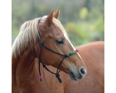 Passion 4Q Knotenhalfter