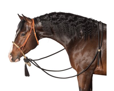 Passion 4Q Bosal Set