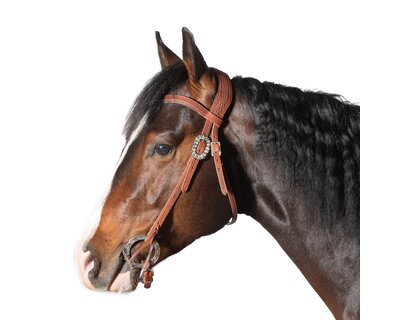 Passion 4Q Westerntrense