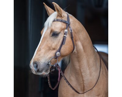 Passion 4Q Westerntrense