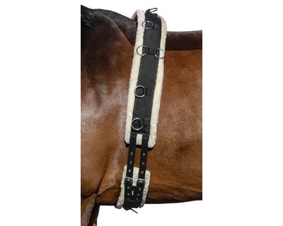 Horse-friends Longiergurt Comfort
