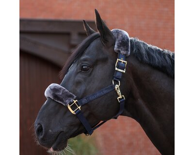 bucas Show-Line Collection Halfter