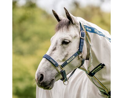 HORSEWARE Halfter Fieldsafe