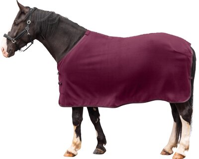 Horse-friends Abschwitzdecke XL Dakar
