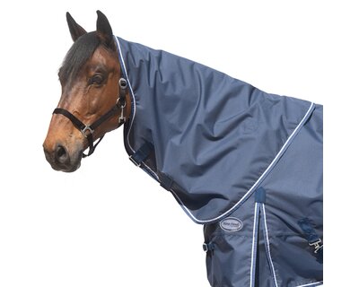 Horse-friends Halsteil Hamburg