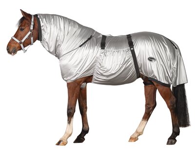 Horse-friends Ekzemerdecke Larisa