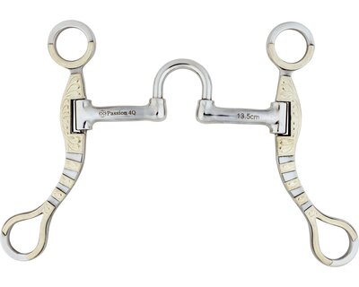 Passion 4Q Correction Bit
