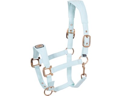 Cavallo Halfter CAVALPAWEL