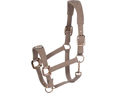 Cavallo Halfter CAVALPAWEL