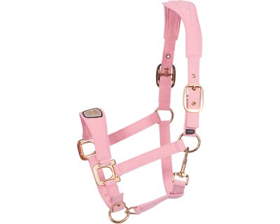 Cavallo Halfter CAVALPAWEL