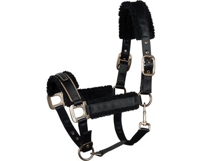 Cavallo Halfter CAVALLIDI