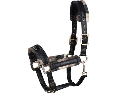 Cavallo Halfter CAVALLAVI