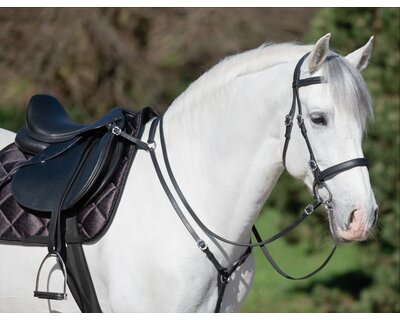 Horse-friends Spanische Schabracke Sevilla
